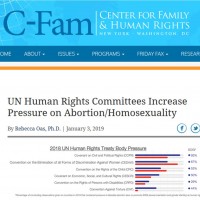 La ONU aumenta sus presiones a favor del aborto y la agenda homosexualista
